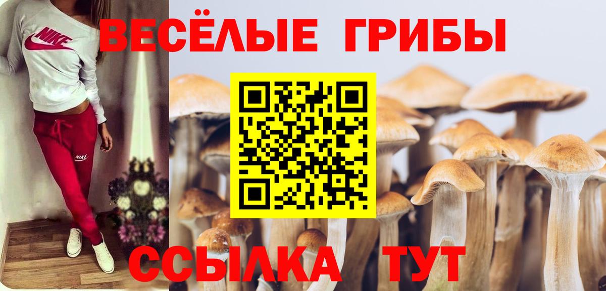 Галлюциногенные грибы Cubensis  Псилоцибиновые грибы ЛСД  Ярославль  Вход с VPN 